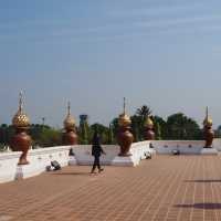 อุทยานหลวงราชพฤกษ์ จ.เชียงใหม่ คนรักดอกไม้ห้ามพลาด