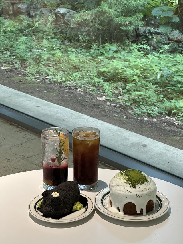 제주 숲 속 힐링카페 + 인생샷 포토존
