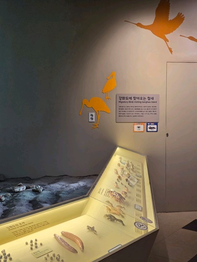 🕊️ 계절의 여행자들, 철새 전시