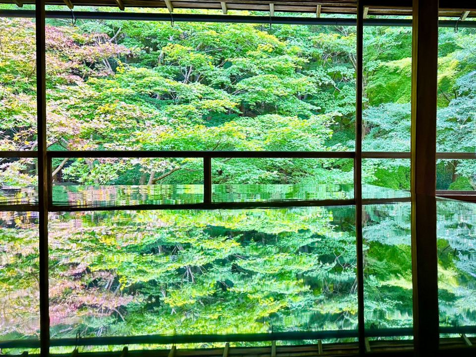 京都・瑠璃光院🍃】紅葉前の静寂、新緑リフレクションの美 | Trip.com 京都