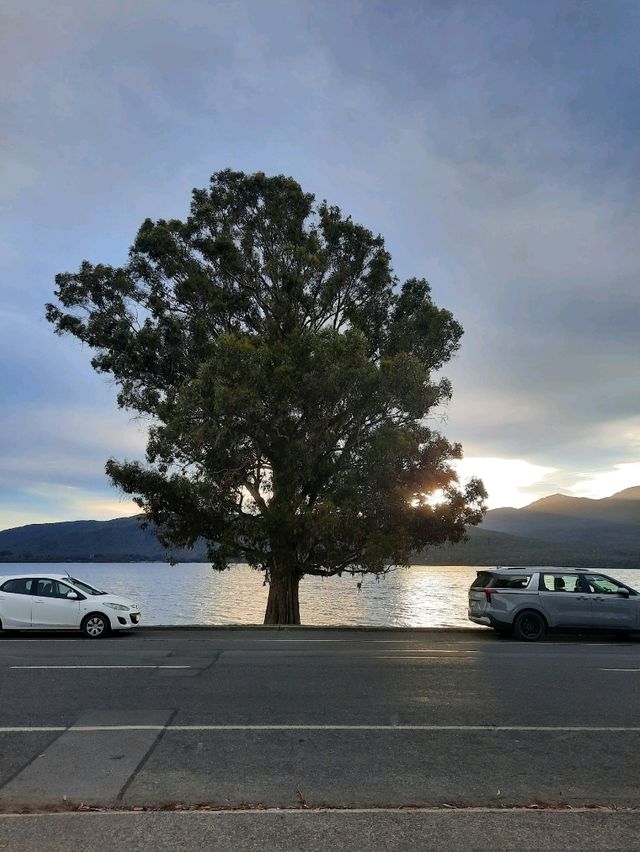 ที่พักริมทะเลสาบ Te Anau Lakefront Backpackers