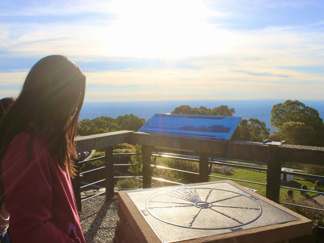 🌄 Mount Dandenong Observatory & Pie In The Sky — A Scenic Escape Above the Clouds