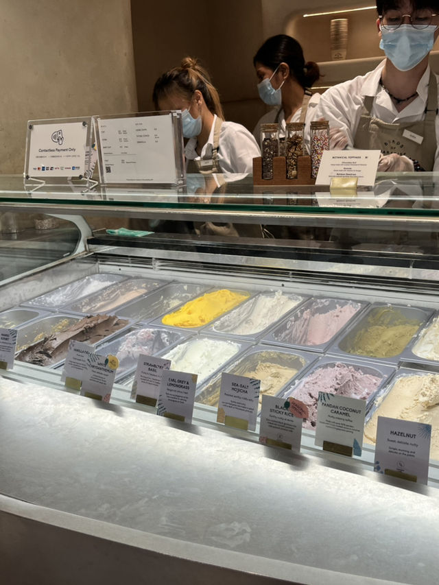 🌴シンガポールの空港で味わう癒しと美味しいアイス🍨|Jewel Changi Airport 🌴シンガポールの空港で味わう癒しと美味しいアイス🍨|Jewel Changi Airport