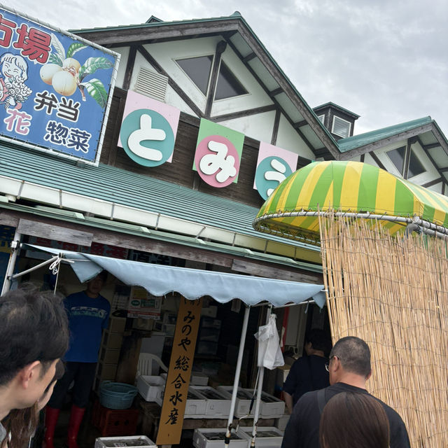 【千葉/南房総🇯🇵】道の駅とみうら内の物産館！🐟とみうらマート