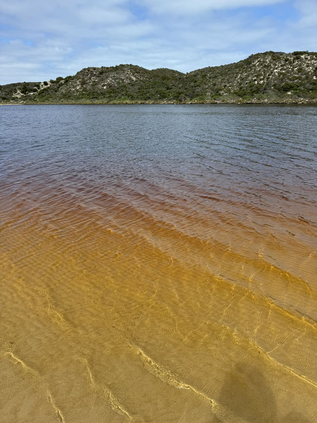【オーストラリア・西オーストラリア】川と海が出会う癒しの場所「Moore River Estuary」🌊🌿