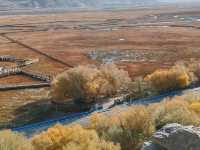 A Bird's-Eye View of the Golden Grassland: A Golden Scroll on the Pamir Plateau