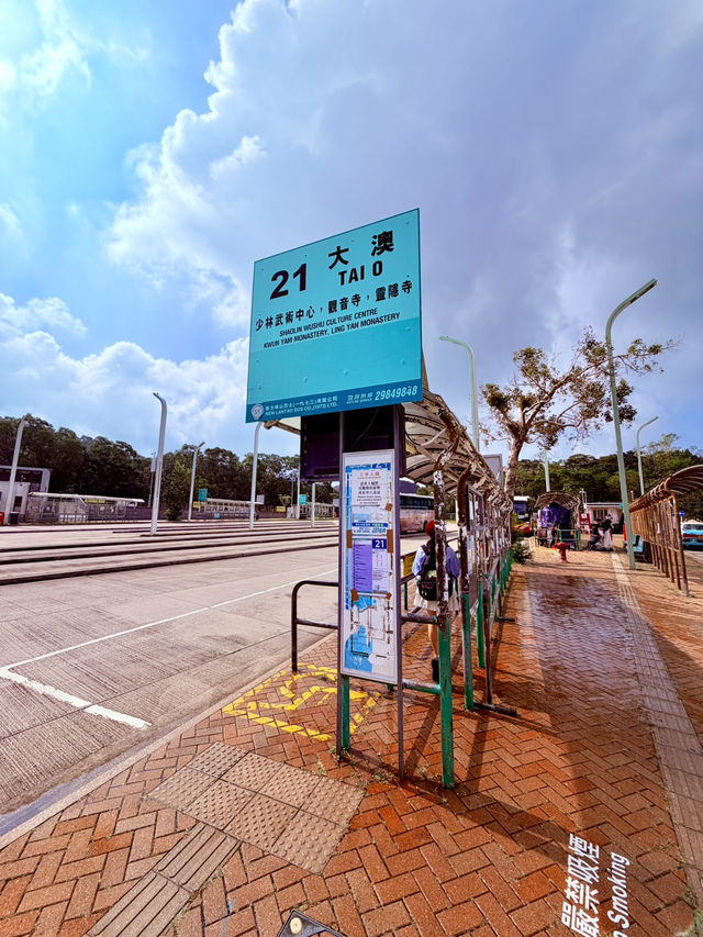 香港一條歷史悠久的傳統漁村，被譽為「東方威尼斯」