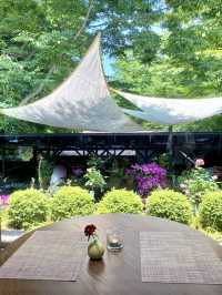🌸 Garden Strolls & Gourmet Picnics at Nicolai Bergmann Hakone Gardens
