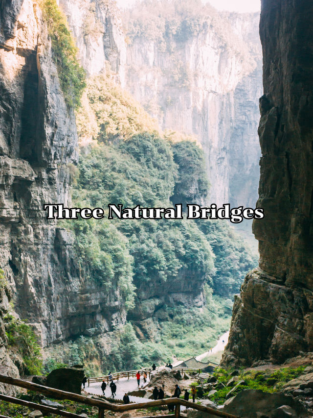 Three Natural Bridges 