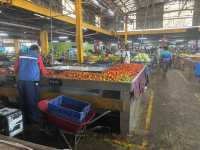 Suva Municipal Market