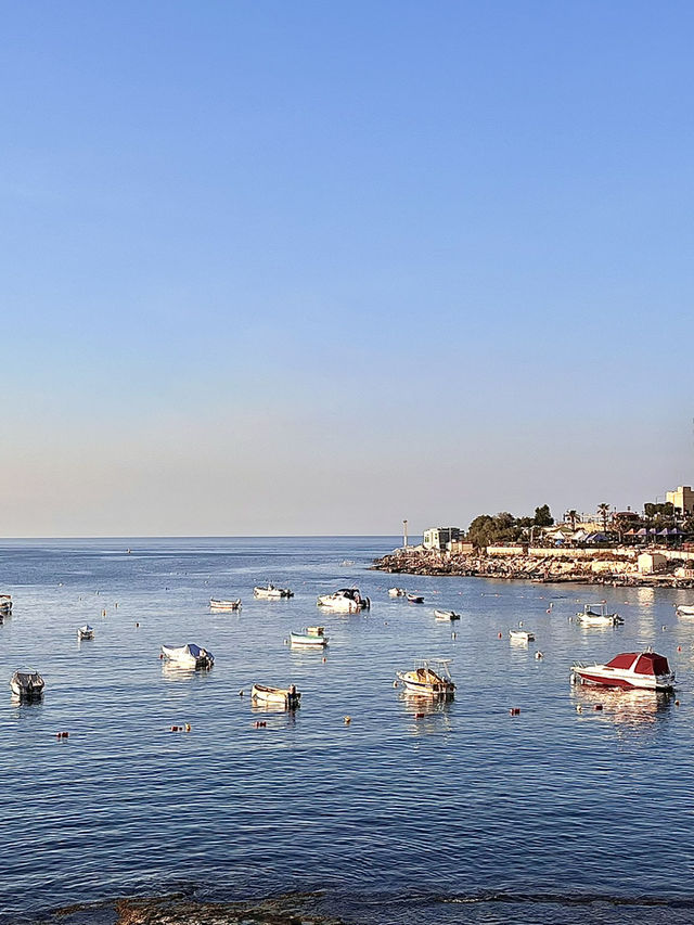 🏖️ 도시 속 오아시스, 발루타 베이 비치 🌊 🏖️ 도시 속 오아시스, 발루타 베이 비치 🌊