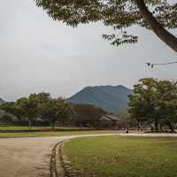 천천히 성길 오르고, 감나무 앞에서 가을 사진 한 컷