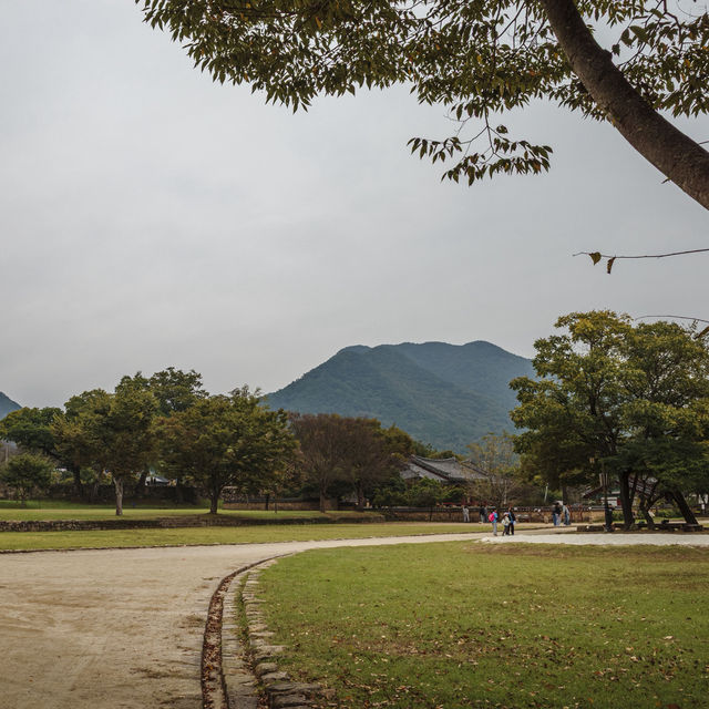 천천히 성길 오르고, 감나무 앞에서 가을 사진 한 컷 천천히 성길 오르고, 감나무 앞에서 가을 사진 한 컷
