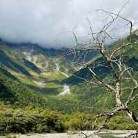 🌸 แพลนเที่ยว Nagoya + Kamikochi 4 วัน