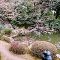 🍂 “Crimson Whispers at Zuishin-in Temple”