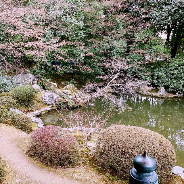 🍂 “Crimson Whispers at Zuishin-in Temple”