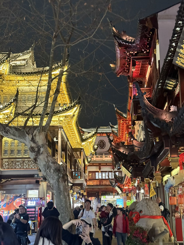 Yuyuan Garden. Shanghai Yuyuan Garden. Shanghai