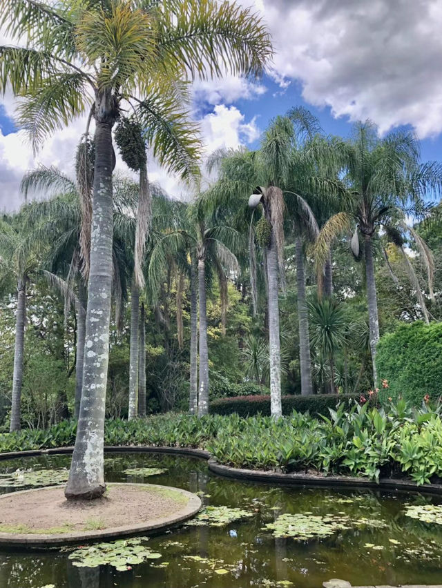 🌿悉尼北區秘境一日遊|離城市最近的「世界公園」 🌿悉尼北區秘境一日遊|離城市最近的「世界公園」