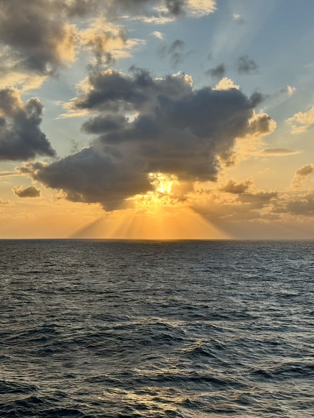 海洋光譜號船上攻略｜登船必做➕吃喝玩樂指南🧭