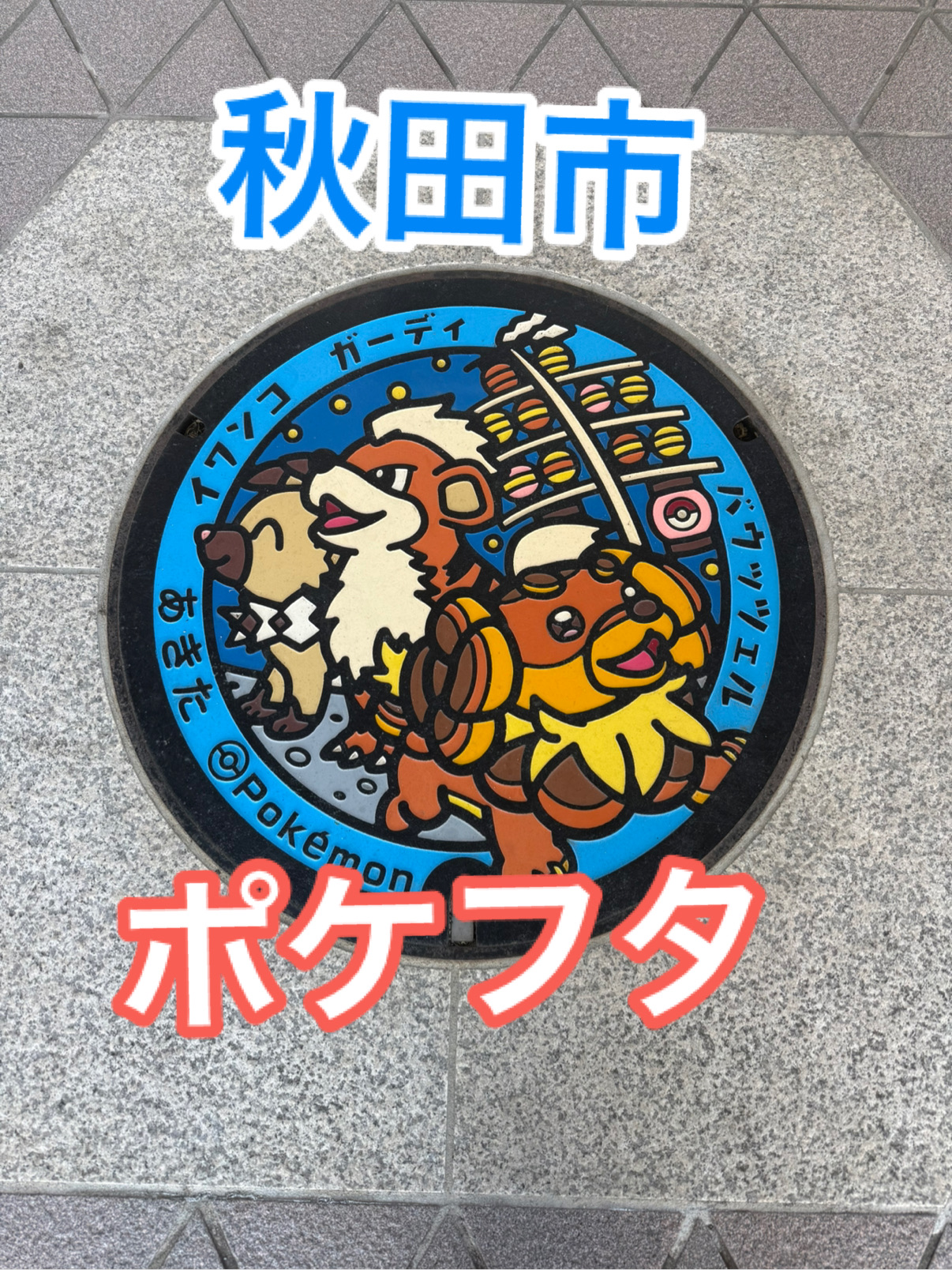Apparently there are bears in Akita
