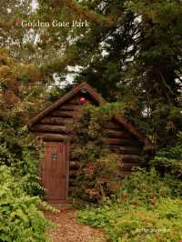 🇺🇸 San Francisco: Where to Go