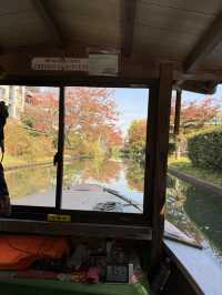 🍁 伏見十石舟:秋日泛舟,穿越時光的水上畫卷 🍂