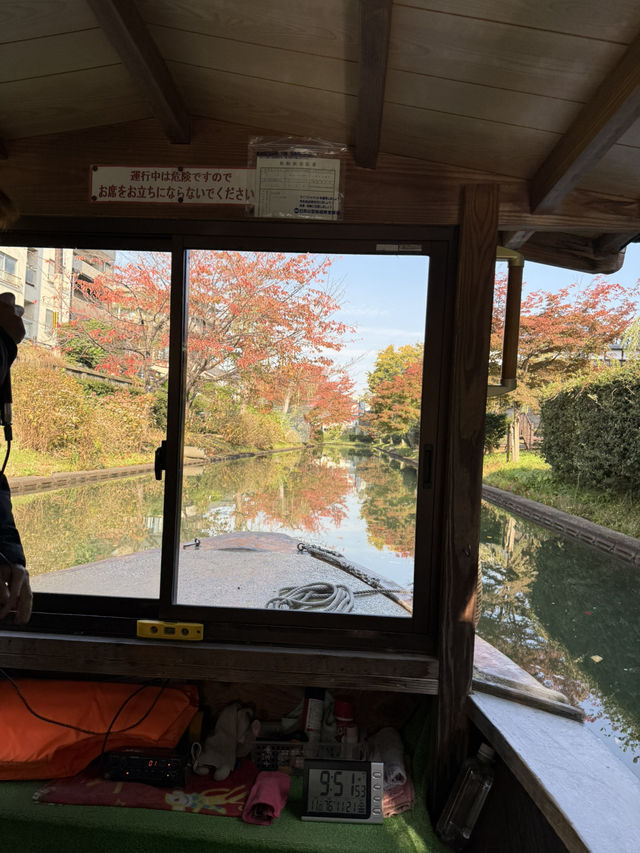 🍁 伏見十石舟:秋日泛舟,穿越時光的水上畫卷 🍂 🍁 伏見十石舟:秋日泛舟,穿越時光的水上畫卷 🍂