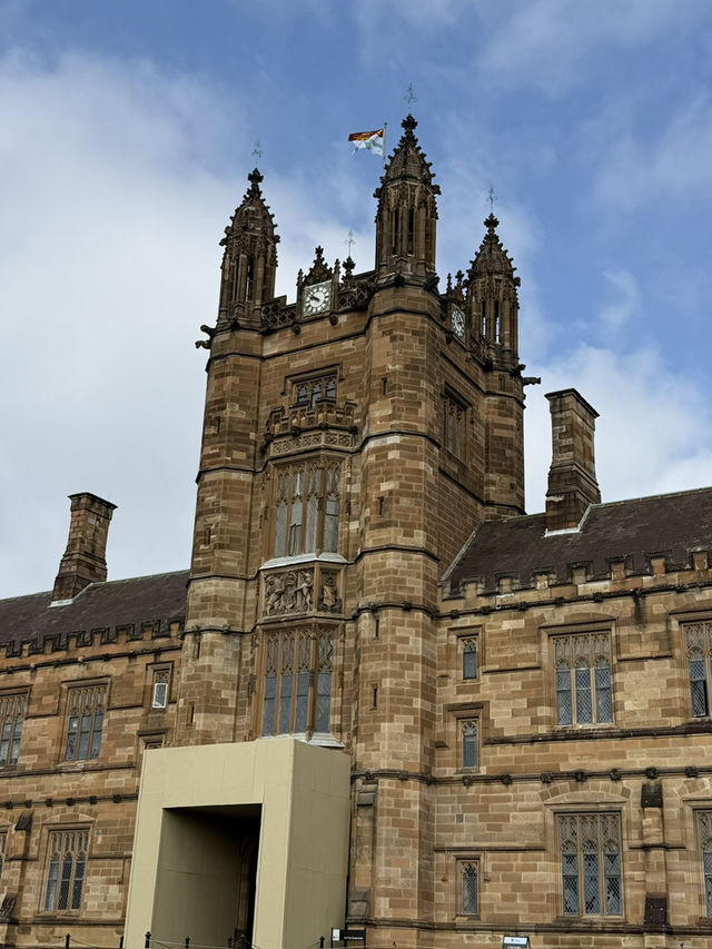 호주에서 만나는 해리 포터 학교! 시드니 대학교의 고딕 건축 캠퍼스📚 호주에서 만나는 해리 포터 학교! 시드니 대학교의 고딕 건축 캠퍼스📚