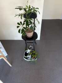 ๐๐ป๐ค๊ฒฝ์ฃผ ํฉ๋ฆฌ๋จ๊ธธ ์นดํ, ํ์คํ์ปคํผ.