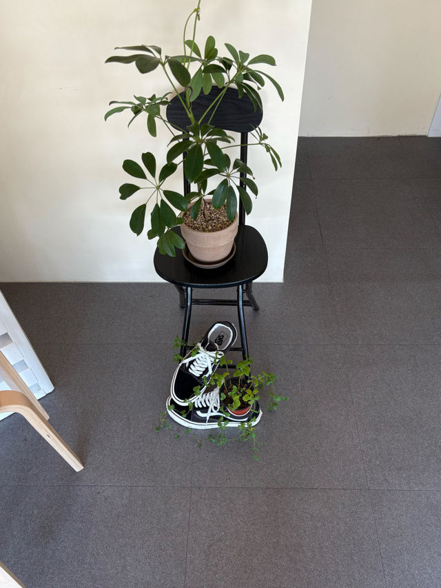 ๐๐ป๐ค๊ฒฝ์ฃผ ํฉ๋ฆฌ๋จ๊ธธ ์นดํ, ํ์คํ์ปคํผ. ๐๐ป๐ค๊ฒฝ์ฃผ ํฉ๋ฆฌ๋จ๊ธธ ์นดํ, ํ์คํ์ปคํผ.