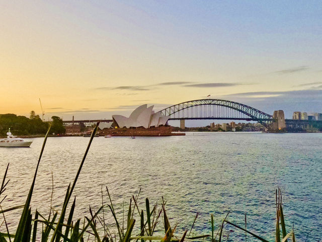 Sydney’s famous landmark view from  Mrs Macquaire’s chair 🇦🇺🌅