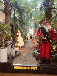 Nighttime Magic by the Illuminated Water