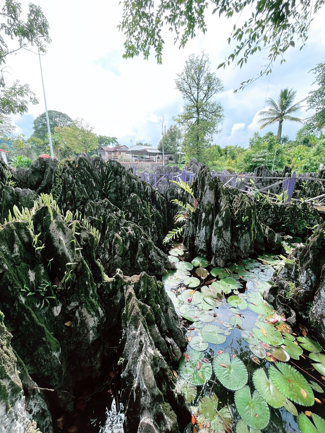 “Rock Garden Bau – A Scenic Limestone Escape” “Rock Garden Bau – A Scenic Limestone Escape”