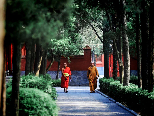 越南🇻🇳白馬寺 越南🇻🇳白馬寺