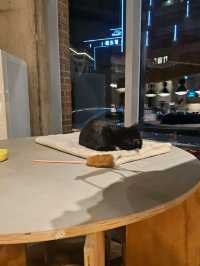 ๐ฅ๐์ธ์ฐ ๋๊ตฌ ๋ํ ์นดํ ์ธ์ผ์ค์ปคํผ