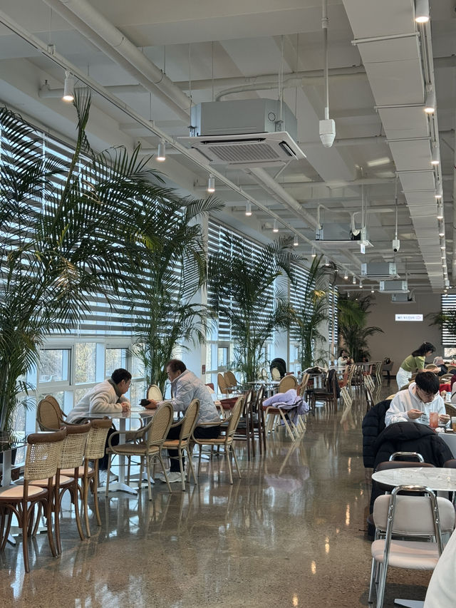 🎄 용인의 크리스마스 무드 대형 카페 🎄 🎄 용인의 크리스마스 무드 대형 카페 🎄