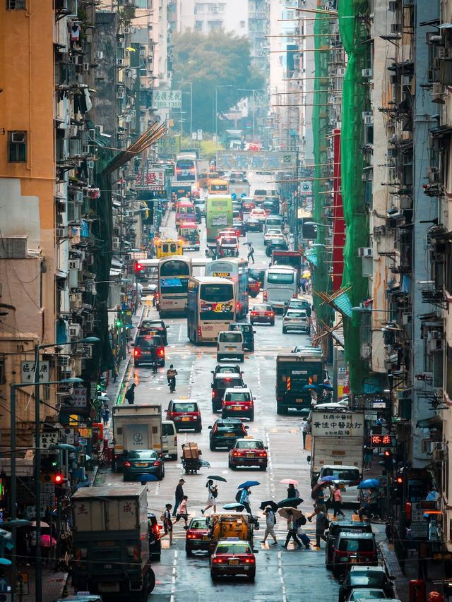Monsoon Metropolis in Central Monsoon Metropolis in Central