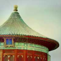 Temple Trail Magic ✨