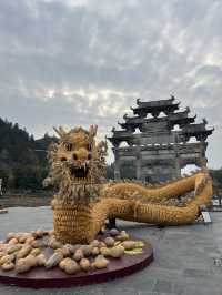 Fantastic Day Exploring Hongcun & Xidi Villages