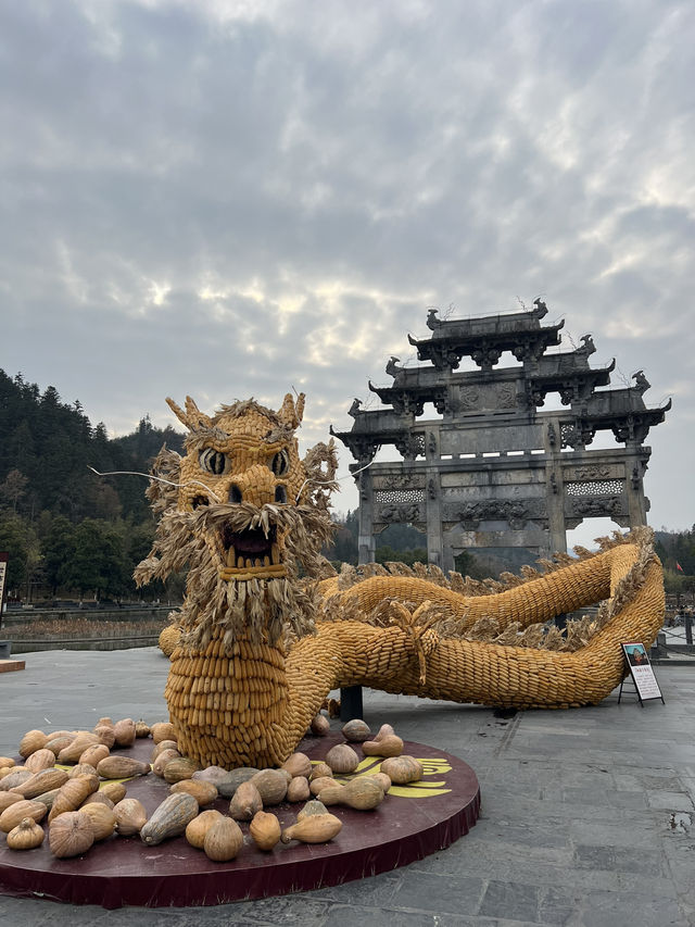 Fantastic Day Exploring Hongcun & Xidi Villages