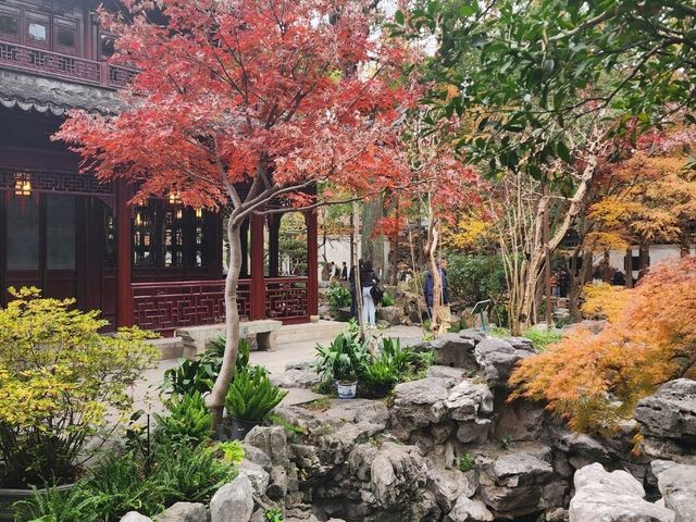 Garden Serenity🧭 Garden Serenity🧭