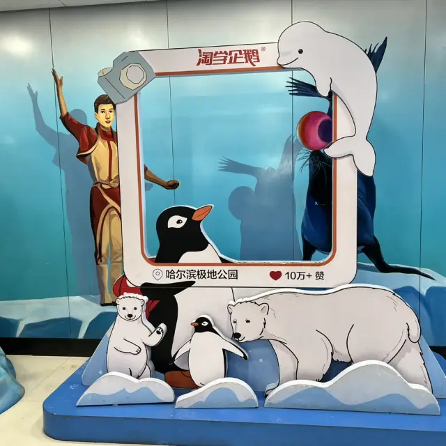 與北極樂園明星共度聖誕節：白鯨與企鵝