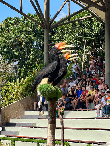VIetnam🇻🇳 Safari Vinpearl - Phu Quoc | Trip.com — Фукуок