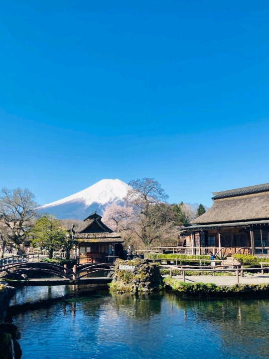 朝イチに行くべき絶景！山梨県忍野八海 | Trip.com 忍野村