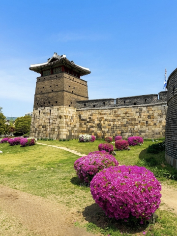 韓国のこの博物館には、きっと驚かされるはずです！ | Trip.com 龍仁市