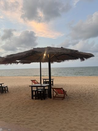พูดถึง Forest Beach Resort ที่ปัตตานี โดยรวมจะเป็นรีสอร์ทแนว “เงียบสงบ ติดทะเล เน้นธรรมชาติ” มากกว่าสายหรูค่ะ เหมาะกับคนที่อยากพักผ่อนจริง ๆ ฟีลฮีลใจ ดูทะเล ฟังเสียงคลื่น และถ่ายรูปบรรยากาศชิล ๆ
จุดเด่นที่คนรีวิวกันบ่อย

· ติดทะเลหาดตะโละกาโป ยะหริ่ง บรรยากาศสงบมาก
· ทรายค่อนข้างสวย น้ำทะเลดูสะอาดในวันที่อากาศดี
· เหมาะกับสายพักผ่อนแบบ private ไม่วุ่นวาย
· มีมุมถ่ายรูปเยอะ ฟีลธรรมชาติป่า+ทะเล
· หลายคนชอบเพราะ “เงียบ” และเหมาะกับการไปพักใจ  
แต่……..

· สิ่งอำนวยความสะดวกยังไม่ได้ครบมากเหมือนรีสอร์ทใหญ่
· บางห้องแอร์เย็นช้า
· ทางเดินบางจุดเป็นทราย เวลาแบกของอาจลำบาก
· ถ้าอยากหาของกินหรือคาเฟ่ อาจต้องขับรถออกไปหน่อย  

เหมาะกับใคร

· คู่รัก
· ครอบครัวเล็ก ๆ
· คนที่อยากหนีความวุ่นวาย
· สายถ่ายรูปธรรมชาติ
· คนชอบทะเลแบบ local ไม่แมส 

โดยรวมให้คะแนนถือว่าค่อนข้างดี ประมาณ 7/10 ชอบตรง “บรรยากาศสงบกับวิวทะเล” มากที่สุด
