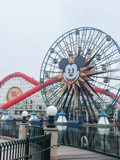 一人旅 70周年カリフォルニアディズニー③ | Trip.com アナハイム