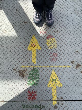 🇵🇹 🐚I walked the Camino de Santiago (Portuguese Route) and rated every place I slept 