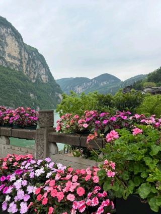 🌸 Gongtan Ancient Town | Where Every Doorway Blooms