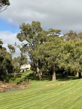 Local Tasting Rules You Must Know at Vasse Felix Winery
